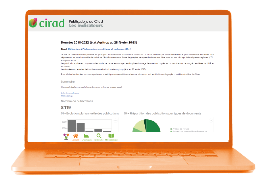 Lodex Rapport dynamique production CIRAD