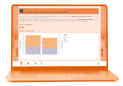 Lodex Rapport dynamique