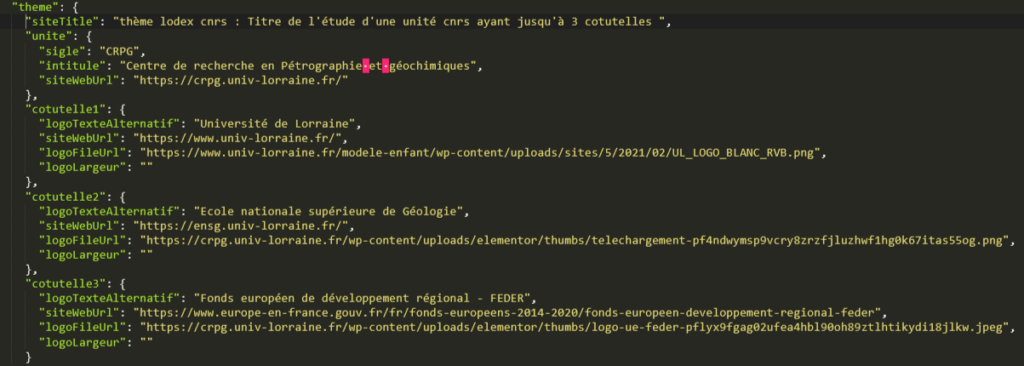 Capture d'écran de la configuration du theme lodex Cnrs